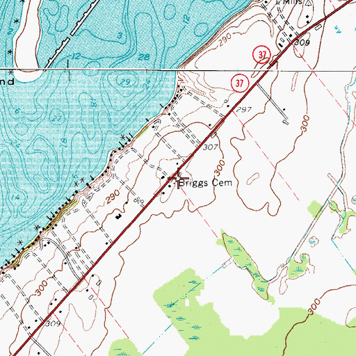 Topographic Map of Briggs Cemetery, NY