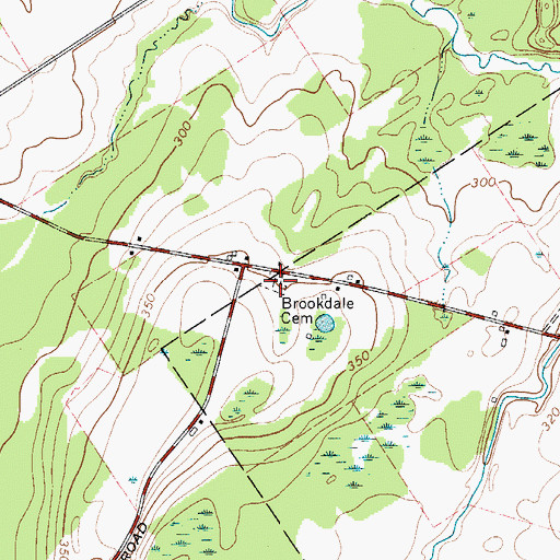 Topographic Map of Brookdale Cemetery, NY