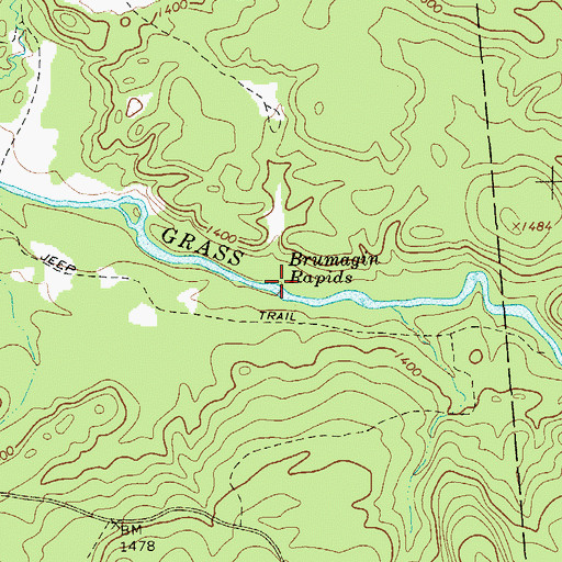 Topographic Map of Brumagin Rapids, NY