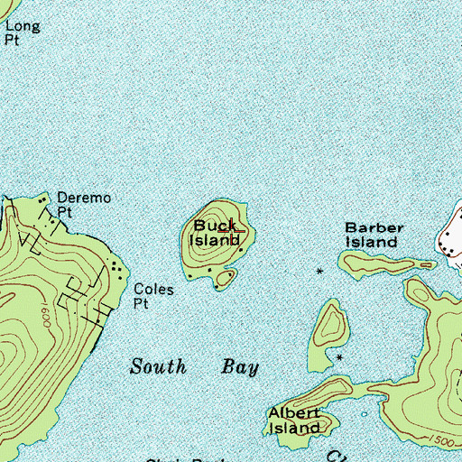 Topographic Map of Buck Island, NY