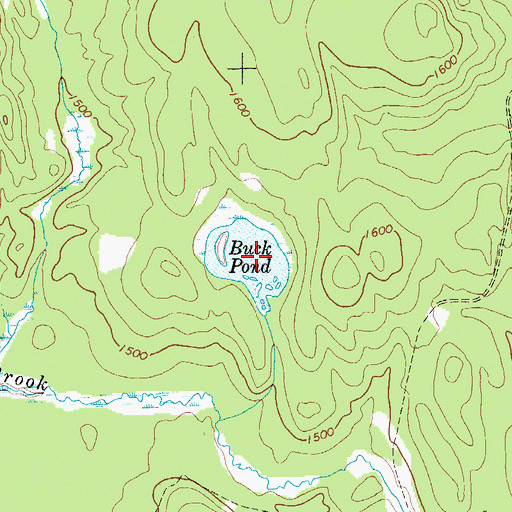 Topographic Map of Buck Pond, NY