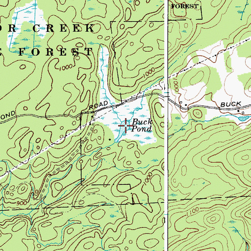 Topographic Map of Buck Pond, NY