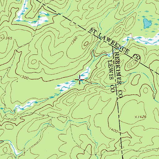 Topographic Map of Buckhorn Creek, NY