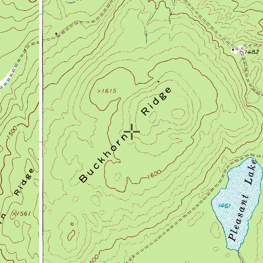 Topographic Map of Buckhorn Ridge, NY