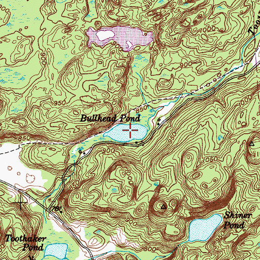 Topographic Map of Bullhead Pond, NY