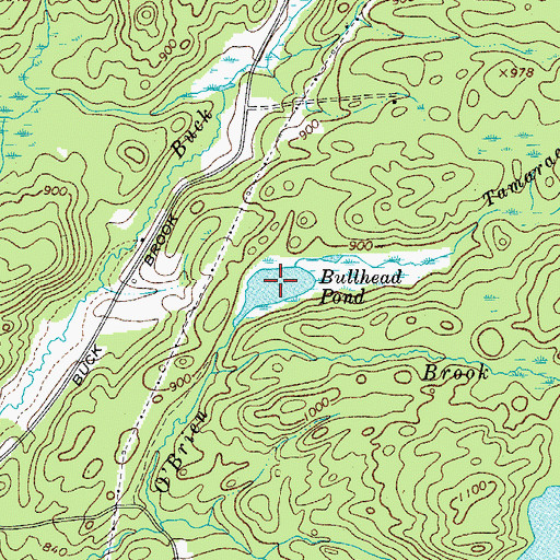 Topographic Map of Bullhead Pond, NY