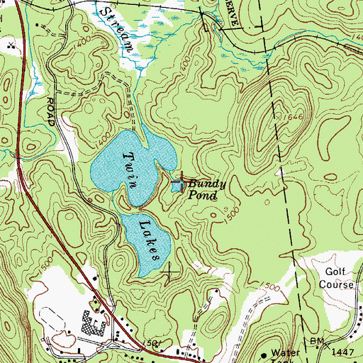 Topographic Map of Bundy Pond, NY
