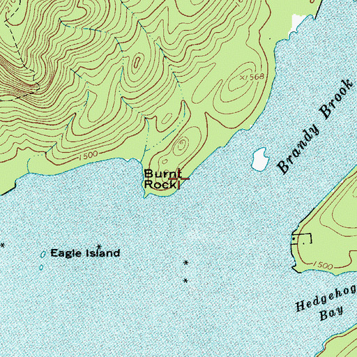 Topographic Map of Burnt Rock, NY