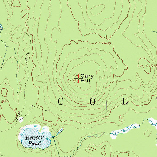 Topographic Map of Cary Hill, NY