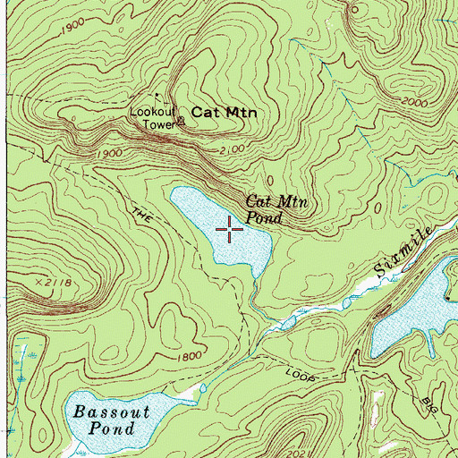 Topographic Map of Cat Mountain Pond, NY