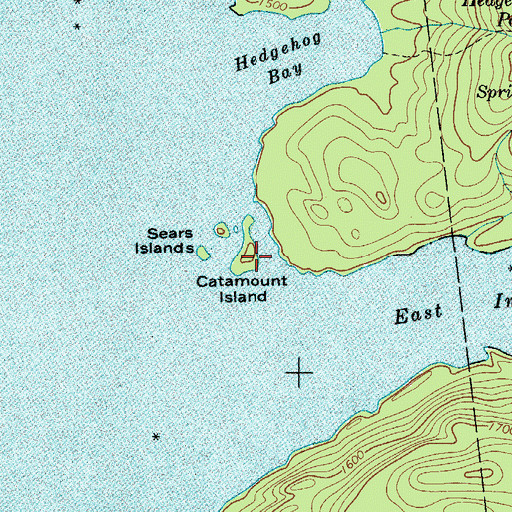 Topographic Map of Catamount Island, NY