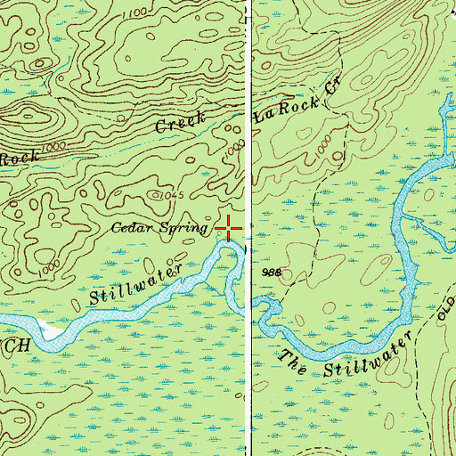 Topographic Map of Cedar Spring, NY