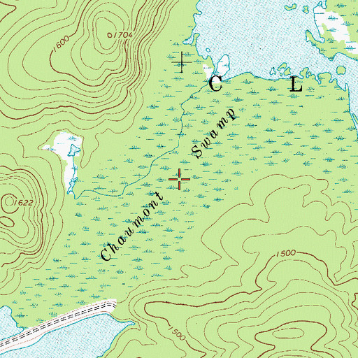 Topographic Map of Chaumont Swamp, NY