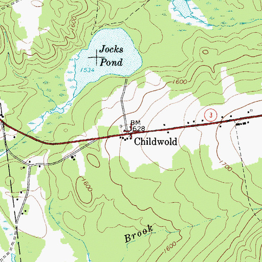 Topographic Map of Childwold, NY