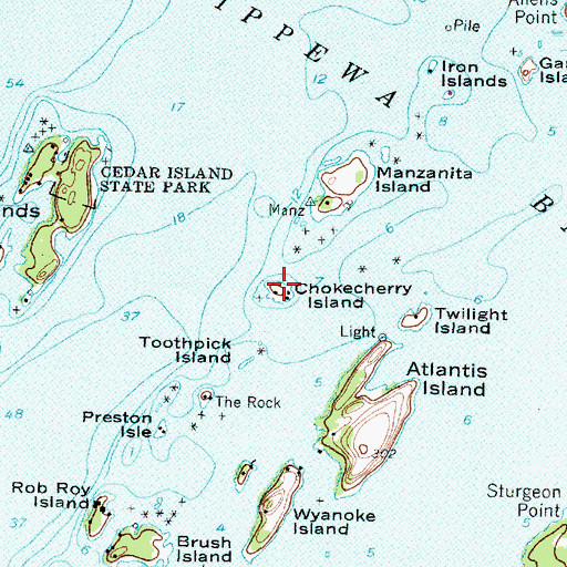 Topographic Map of Chokecherry Island, NY