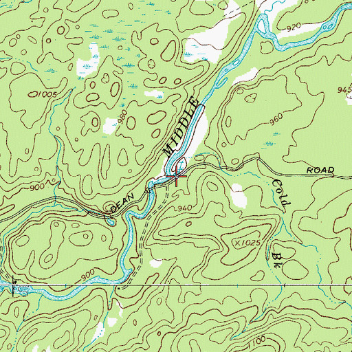 Topographic Map of Cold Brook, NY