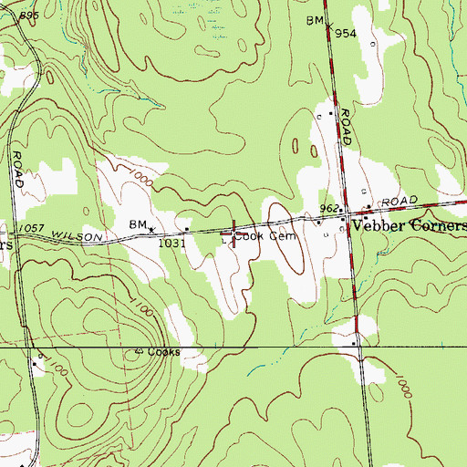 Topographic Map of Cooks Cemetery, NY