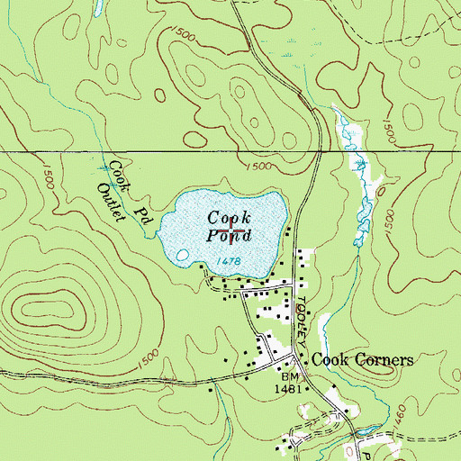 Topographic Map of Cook Pond, NY