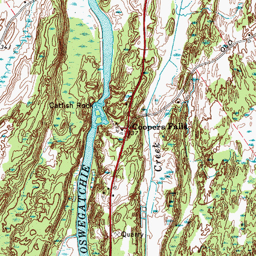 Topographic Map of Coopers Falls, NY