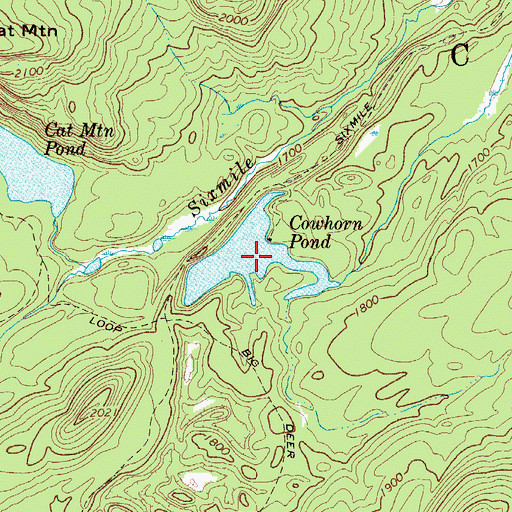 Topographic Map of Cowhorn Pond, NY