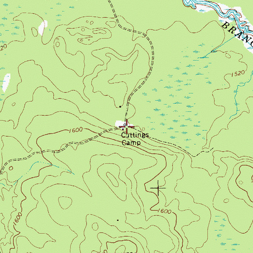 Topographic Map of Cuttings Camp, NY