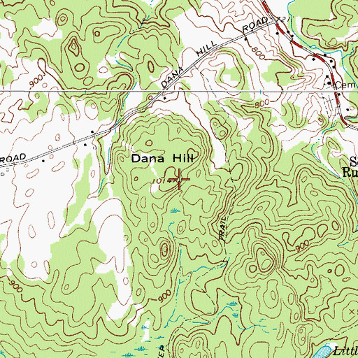 Topographic Map of Dana Hill, NY
