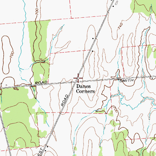 Topographic Map of Danes Corners, NY