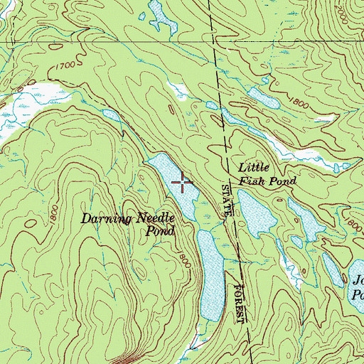 Topographic Map of Darning Needle Pond, NY