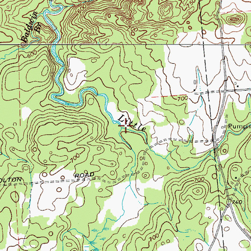 Topographic Map of Deer Lick Brook, NY