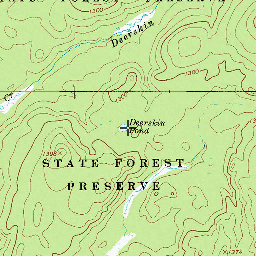 Topographic Map of Deerskin Pond, NY