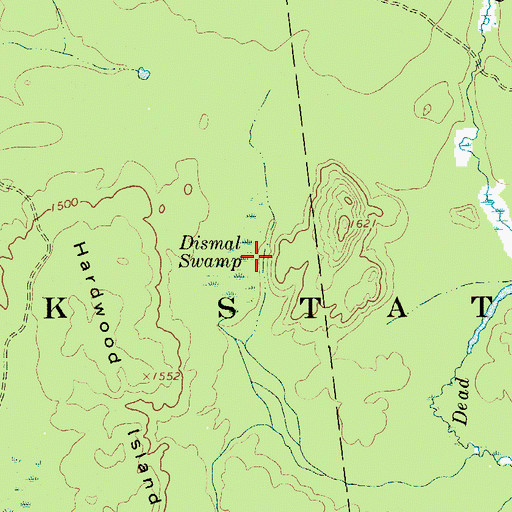 Topographic Map of Dismal Swamp, NY