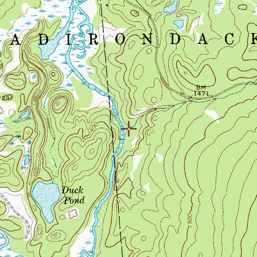 Topographic Map of Downey Brook, NY
