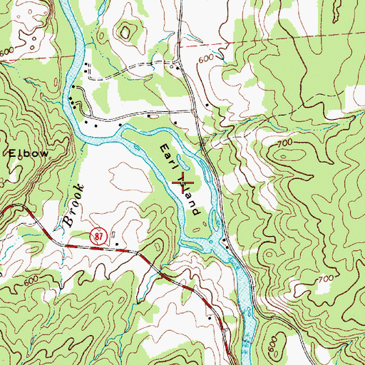 Topographic Map of Earl Island, NY