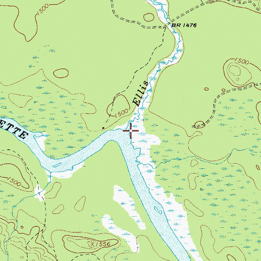 Topographic Map of Ellis Brook, NY