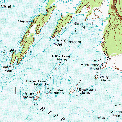 Topographic Map of Elm Tree Island, NY