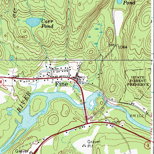 Topographic Map of Fine, NY