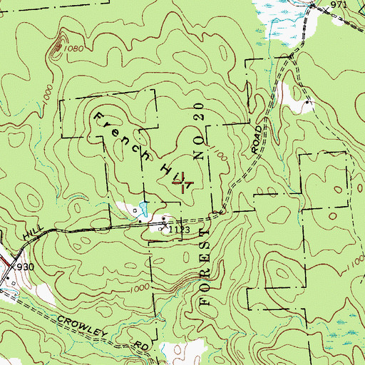 Topographic Map of French Hill, NY