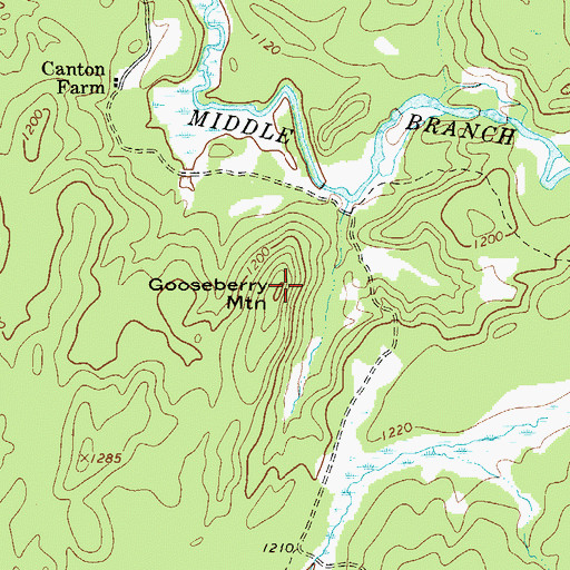 Topographic Map of Gooseberry Mountain, NY