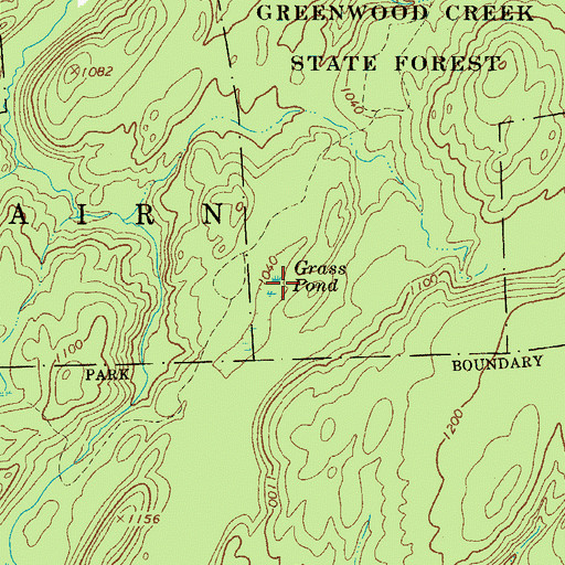 Topographic Map of Grass Pond, NY