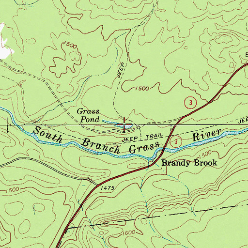 Topographic Map of Grass Pond, NY