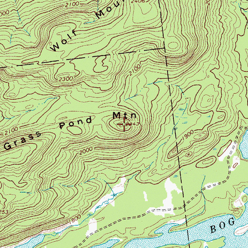 Topographic Map of Grass Pond Mountain, NY