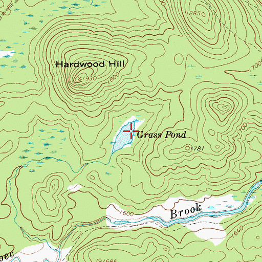 Topographic Map of Grass Pond, NY