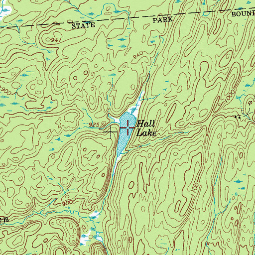 Topographic Map of Hall Lake, NY