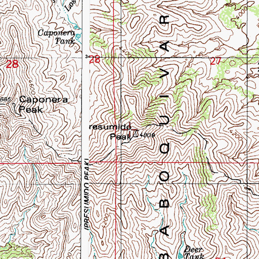 Topographic Map of Presumido Peak, AZ