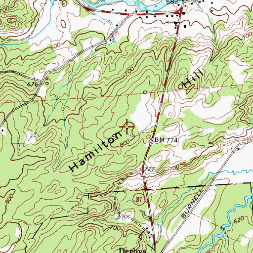 Topographic Map of Hamilton Hill, NY