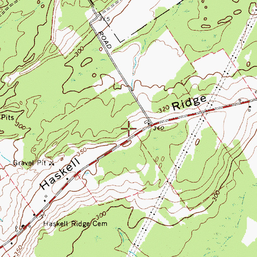 Topographic Map of Haskell Ridge, NY