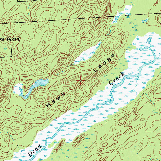 Topographic Map of Hawk Ledge, NY