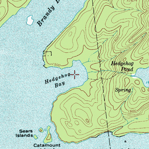 Topographic Map of Hedgehog Bay, NY