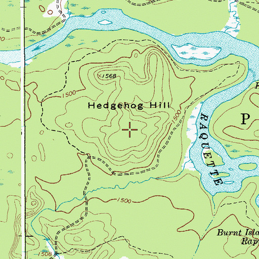 Topographic Map of Hedgehog Hill, NY