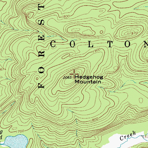 Topographic Map of Hedgehog Mountain, NY